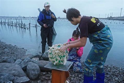 夢見海洋|夢見海洋